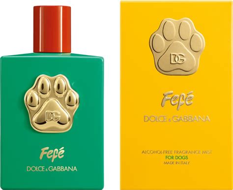 fefe dolce e gabbana fragrantica